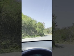 고무 굽힐 수 있는 후면 와이퍼 블레이드